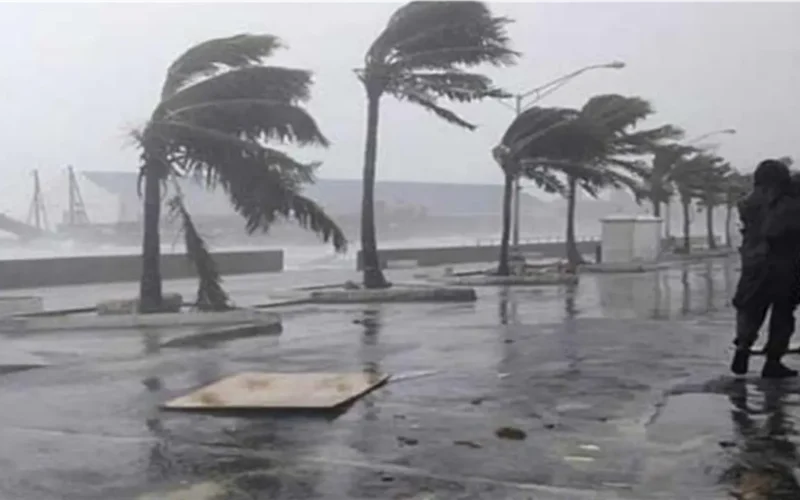 أسبوع برودة قارسة.. الأرصاد تحذر 6 محافظات من أمطار رعدية وضباب كثيف